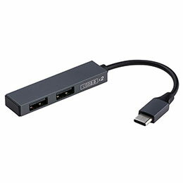 ☆ナカバヤシ USB2.0Type-C2ポート変換ハブ グレー UH-C2562GY