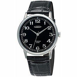 ☆オレオール AUREOLE SW-625M 腕時計 SW-625M-01