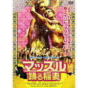 ☆ARC マッスル 踊る稲妻 DVD CARS-004