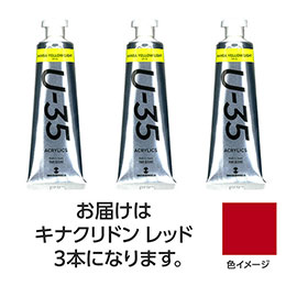 ☆ターナー色彩 U35 キナクリドンレッド60ml 3個 TURNER108732