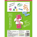 ☆【5セット】 欧文印刷 消せる紙 A4(8枚入) PNCGSA4W08X5