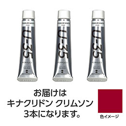 ☆【3本×3セット】 ターナー色彩 U35 キナクリドンクリムソン20ml TURNER108654X3