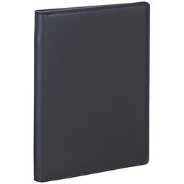 ☆【3セット】 レイメイ藤井 ビジネススリムバインダーA5ネイビー QE1124KX3