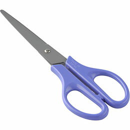 ☆ニッケン刃物 フッ素コートはさみ 170mm 事務・家庭用 テープやのりなどベタつきを防ぐ パープル NS-5..