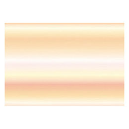 ☆ヤマコー 用美 業務用 尺3朧(おぼろ)懐石まっと 秋色 (100枚入) yamaco66684