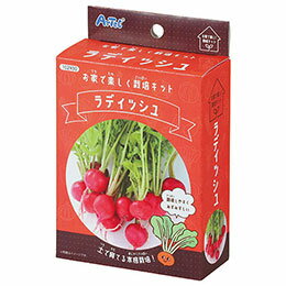 ☆【5個セット】 ARTEC お家で楽しく栽培キット ラディッシュ 土で育てる野菜の栽培...