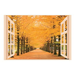 ☆昭プラ お風呂のポスター 四季彩 銀杏並木 8095653