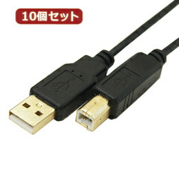 ���Ѵ�̾�� 10�ĥ��å� �˺�USB�����֥�A����-B���� 1m USB2A-B/CA100X10