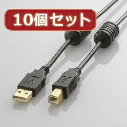 10ĥå 쥳 ե饤ȥդUSB2.0֥ U2C-BF10BKX10