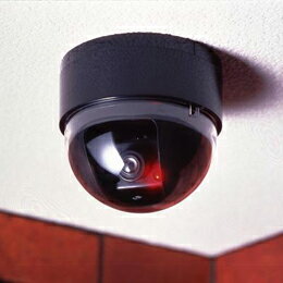 ☆スマイルキッズ　ドーム型防犯ダミーカメラ　ADC204