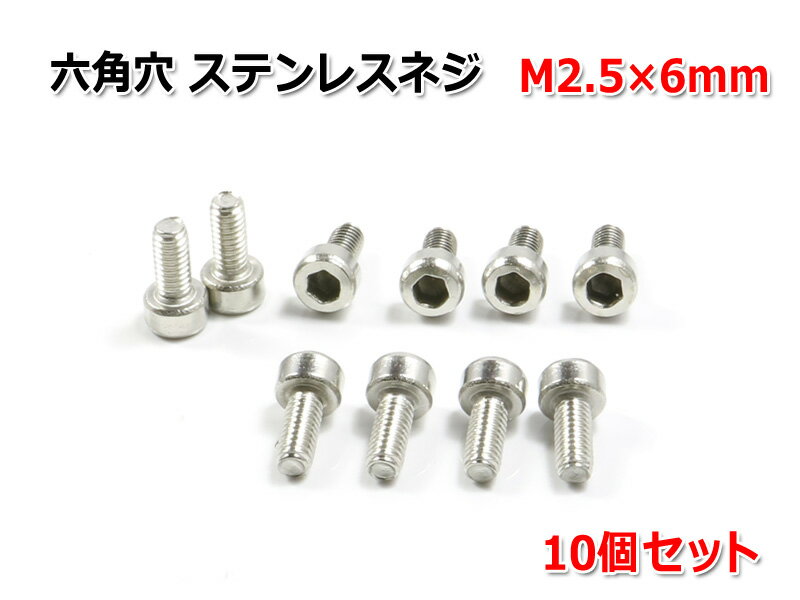 ϻ�ѷ� ���ƥ�쥹�ͥ� [M2.5��6mm] 10�ĥ��å�