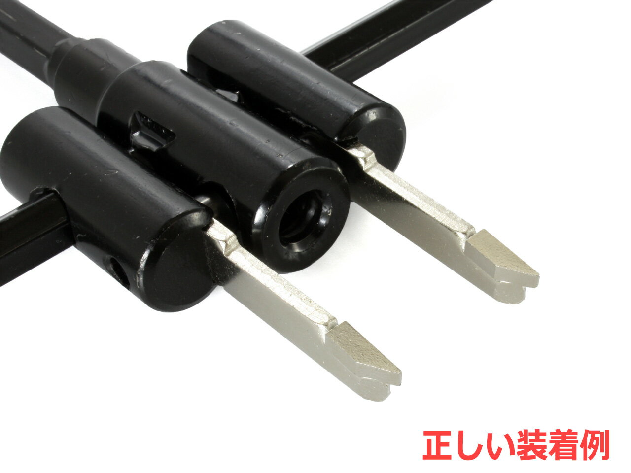 �������륫�å����� �ե�����˥å����å�����(��饰�졼��) 2�ĥ��å� �ڹ��� ���߿� ��ͳ�� �ե꡼�������ۡ��륽�� �ؿ� 2��