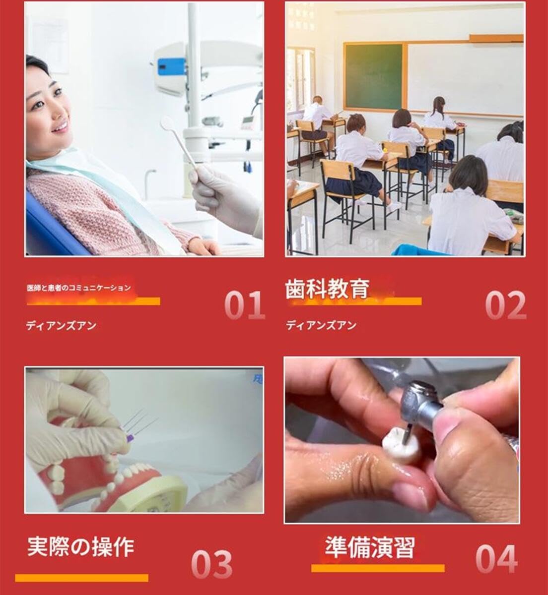 錦ファッションショップの歯 模型 歯磨き指導用 大型モデル 口腔教学説明モデル 上下顎模型 試験練習模型 無段階 開閉式 すべて 歯は取り外し可能です 柔らかい歯｜アングル3
