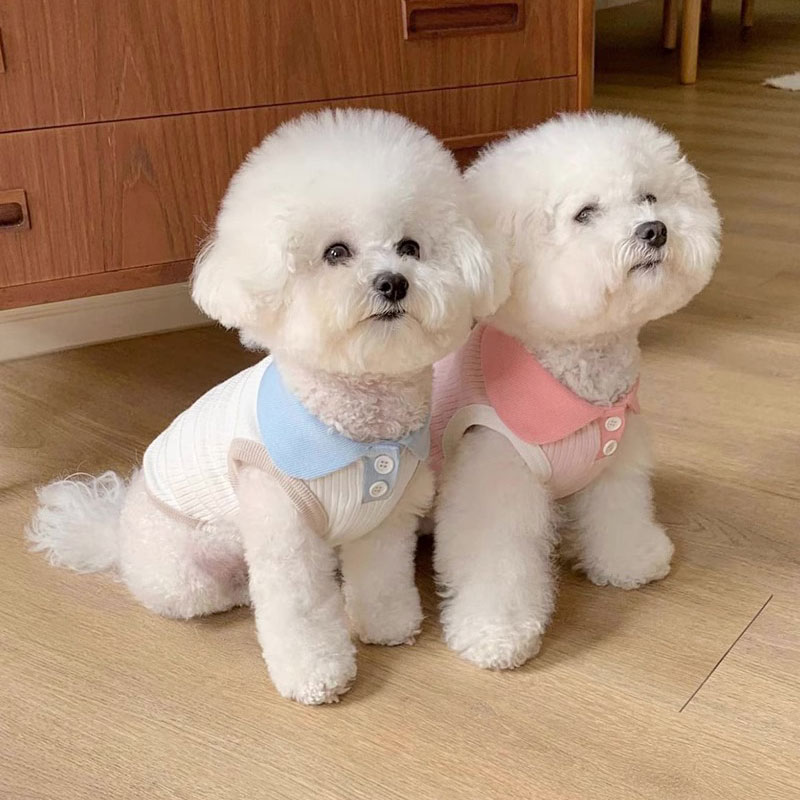 犬服 春 夏 ドッグウェア タンクトップ 可愛い 男の子 女の子 カワイイ ペアルック トイプードル チワワ おしゃれ おもしろ かわいい 大