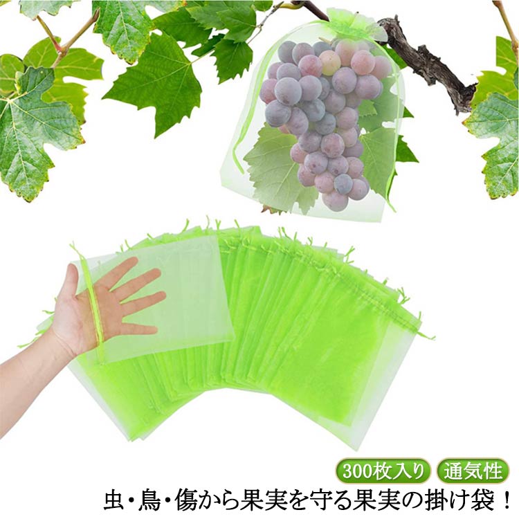 虫・鳥・傷から果実を守る果実の掛け袋！300枚入り！ 果実の生育中に風雨や枝すれ、病虫害から果実を守り、きれいな果実を育てます。 果実（りんご、もも、ぶどう、なし、びわ、みかん等）を栽培する時に掛ける袋です。 入り口が巾着仕様になっており、きゅっと口が閉じられます 細かいメッシュ設計で、小さな虫の侵入を防ぎ、 日光や通気性を妨げることなく果実の育成を促進します。 サイズ 300枚入り サイズについての説明 10*15cm ※サイズ表の実寸法は商品によって1-3cm程度の誤差がある場合がございます。 素材 メッシュ 色 緑 赤 白 濃い緑 ピンク 黒 金 備考 ●サイズ詳細等の測り方はスタッフ間で統一、徹底はしておりますが、実寸は商品によって若干の誤差(1cm～3cm )がある場合がございますので、予めご了承ください。 ●製造ロットにより、細部形状の違いや、同色でも色味に多少の誤差が生じます。 ●パッケージは改良のため予告なく仕様を変更する場合があります。 ▼商品の色は、撮影時の光や、お客様のモニターの色具合などにより、実際の商品と異なる場合がございます。あらかじめ、ご了承ください。 ▼生地の特性上、やや匂いが強く感じられるものもございます。数日のご使用や陰干しなどで気になる匂いはほとんど感じられなくなります。 ▼同じ商品でも生産時期により形やサイズ、カラーに多少の誤差が生じる場合もございます。 ▼他店舗でも在庫を共有して販売をしている為、受注後欠品となる場合もございます。予め、ご了承お願い申し上げます。 ▼出荷前に全て検品を行っておりますが、万が一商品に不具合があった場合は、お問い合わせフォームまたはメールよりご連絡頂けます様お願い申し上げます。速やかに対応致しますのでご安心ください。