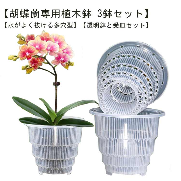 Rakuten - 胡蝶蘭専用 植木鉢 3鉢セット 胡蝶蘭の植え替え 鉢 受皿付き 多穴型 通気性抜群 根腐れ防止 直径12cm 直径15cm 排水穴付き プラスチック