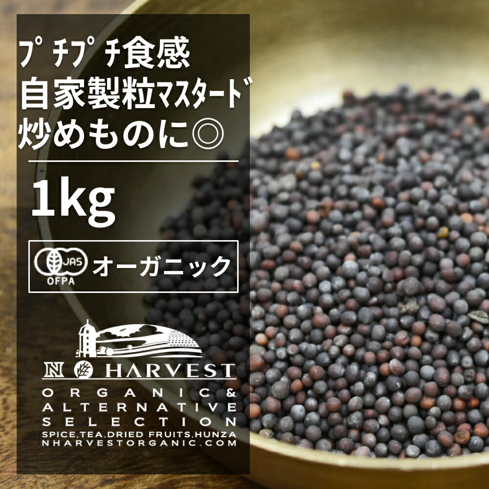 有機ブラックマスタードシード お得な大容量1kg【エヌ・ハーベスト】インド産 香辛料 スパイス ハーブ カレー　エスニック　テンパリング　粒マスタード オーガニック 無農薬 有機JAS認定 有機栽培 辛子　からし　ライ 手作り 香料無添加 1