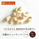 有機カシューナッツ(45g~1kg)【エヌ・ハーベスト】インド産 ドライフルーツ ナッツ ローカシューナッツ 生カシューナッツ オーガニック 無農薬 有機JAS認定 砂糖不使用 甘味料無添加 無香料 無着色 焼き菓子 製菓 ヨーグルト メール便 大容量 業務用(4)