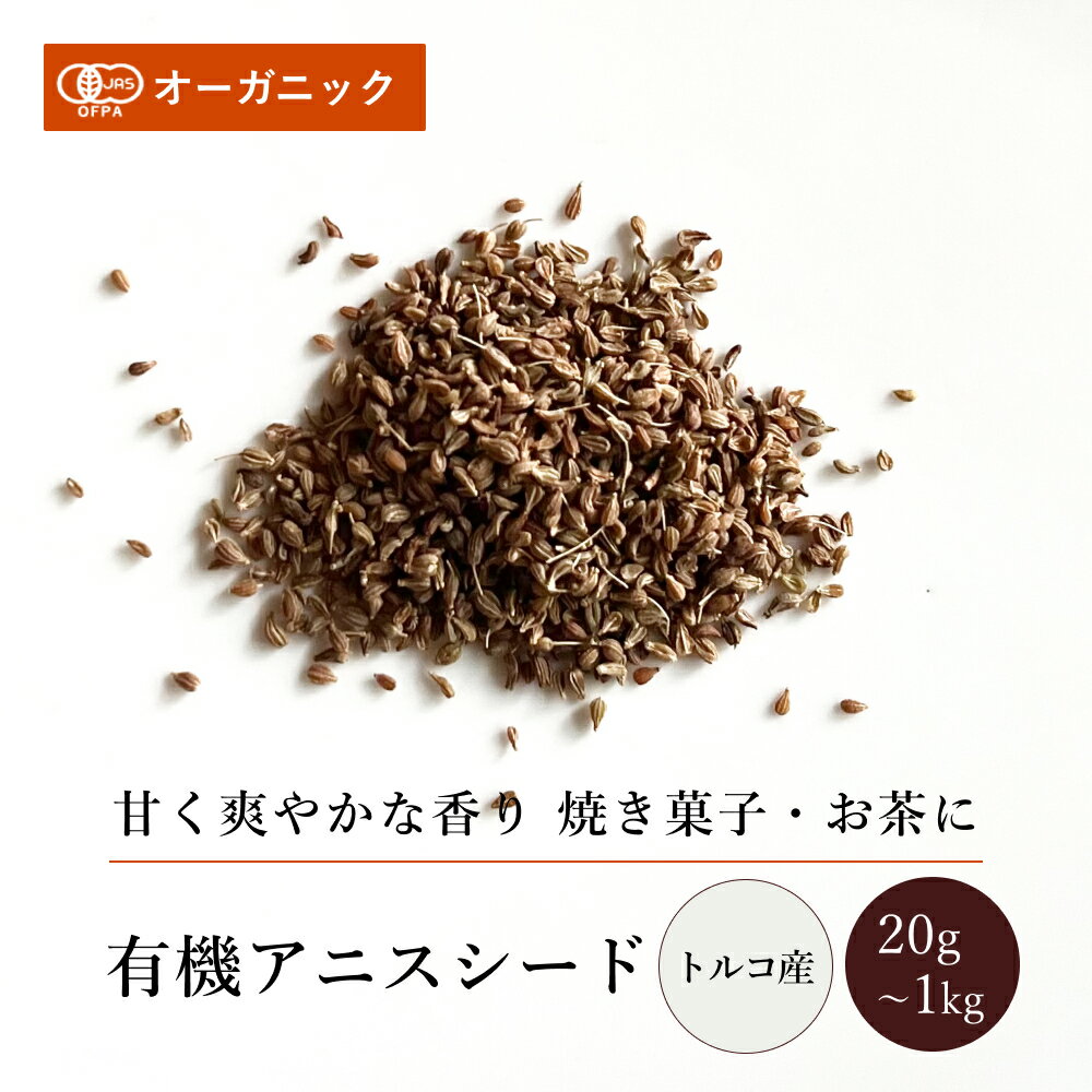有機アニスシード(20g～1kg)【エヌ・ハーベスト】トルコ産 香辛料 スパイス ハーブ カレー エスニック 焼菓子 ケーキ クッキー オーガニック 無農薬 有機JAS認定 有機栽培 手作り 香料無添加 大容量 業務用のサムネイル