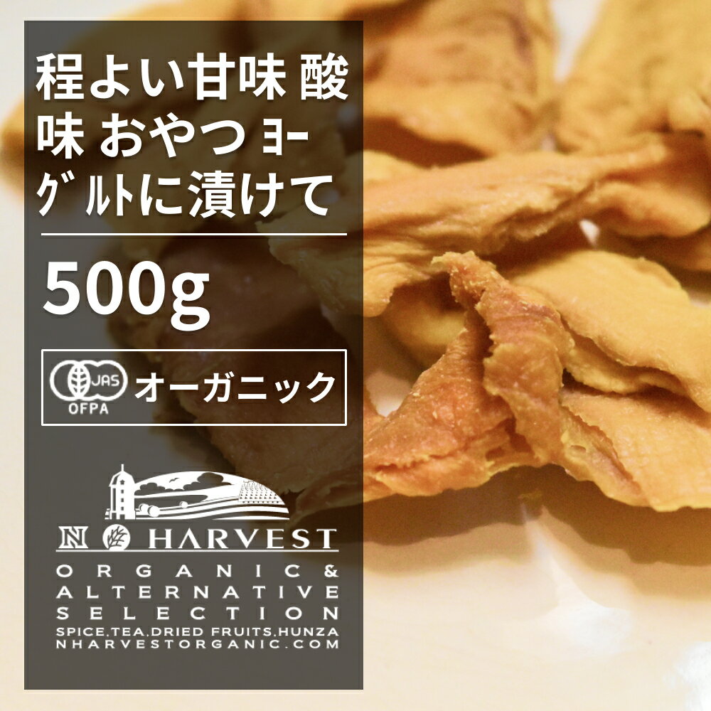 有機マンゴー お得な大容量500g【エヌ・ハーベスト】ブルキナファソ産 ドライフルーツ ナッツ オーガニック 無農薬 有機JAS認定 砂糖不使用 甘味料無添加 無香料 無着色 焼き菓子 製菓