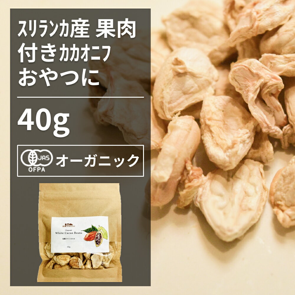 有機ホワイトカカオ 40g【エヌ・ハーベスト】スリランカ産 ドライフルーツ ナッツ 果肉付き オーガニック 無農薬 有機JAS認定 砂糖不使..