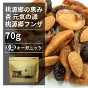 REVIVE 桃源郷の恵み 70gフンザ産 天日干し オーガニック 無農薬 有機JAS 砂糖不使用 甘味料無添加 アプリコット アーモンド チェリー メール便