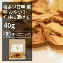 有機マンゴー 40g【エヌ・ハーベスト】ブルキナファソ産 ドライフルーツ ナッツ　 オーガニック 無農薬 有機JAS認定 砂糖不使用 甘味料無添加 無香料 無着色 焼き菓子 製菓 メール便 その1