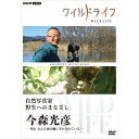 【ポイント10倍 4/10 1：59まで】ワイルドライフ 自然写真家 野生へのまなざし 今森光彦 DVD