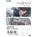 ワイルドライフ 自然写真家 野生へのまなざし 小原玲 DVD