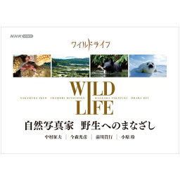 ワイルドライフ 自然写真家 野生へのまなざし DVD-BOX 全4枚