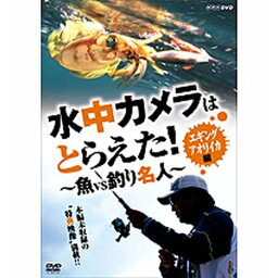 水中カメラはとらえた！ 魚VS釣り名人 エギング アオリイカ編