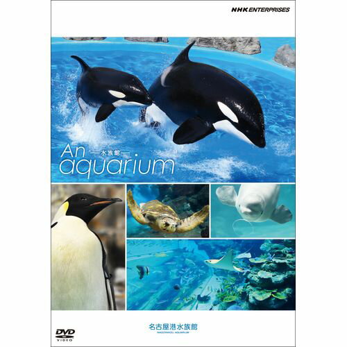 全品ポイント10倍 11日1：59までAn Aquarium －水族館－ 名古屋港水族館