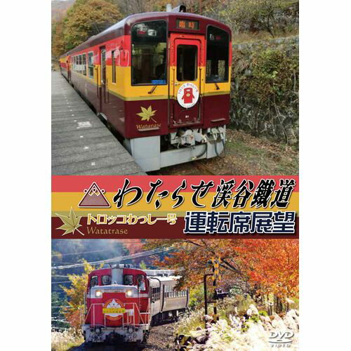 わたらせ渓谷鐵道 トロッコわっしー号運転席展望のサムネイル
