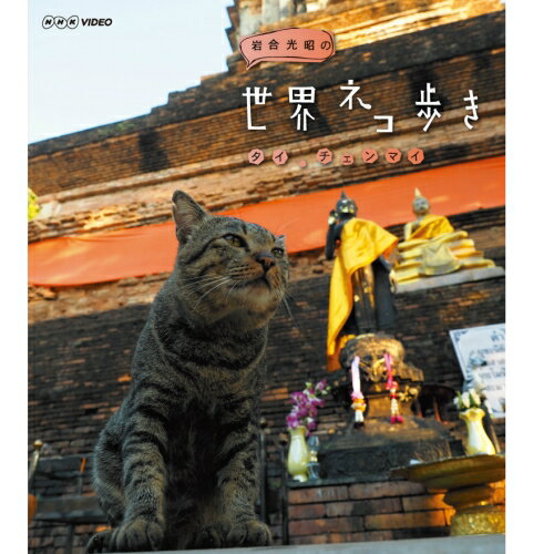 【ファミリー倶楽部 オリジナル商品】動物カメラマン・岩合光昭さんがかわいいネコたちをもとめて世界を歩きます。野生動物を追い求めて世界中を飛び回っている動物カメラマン・岩合光昭さん。40年来撮り続けてきたネコを、今回はムービーカメラを携えて本格的な動物撮影に挑みます！路地を這いつくばり見つめるネコの一日。街の中でネコは、どんなふうに歩き回り、どんな表情を見せるのでしょうか？その撮影風景をちょっとのぞいてみましょう。【収録内容】お寺で仏像とたわむれる子ネコ！ 排水の穴に手を突っ込んで楽しそう！？ 僧侶のお祈りをじゃましてる？ 岩合さんがタイのチェンマイに暮らすネコたちに密着します。 ゾウの飼育センターでは、ネコとゾウが一緒に暮らしていたり、山岳地帯では、灰まみれになってもずっといろりで暖をとるネコに出会ったり。 チェンマイの街中では、岩合さんがどうしても会いたかったというシャムネコの仲間に遭遇します。【出演】岩合光昭【語り】塚本高史【封入特典】・リーフレット（8ページ）・ポストカード○2015年3月11日 BSプレミアムで放送*収録内容：本編59分＋特典20分／1920×1080i Full HD／ステレオ・リニアPCM／一層／カラー／チャプター付