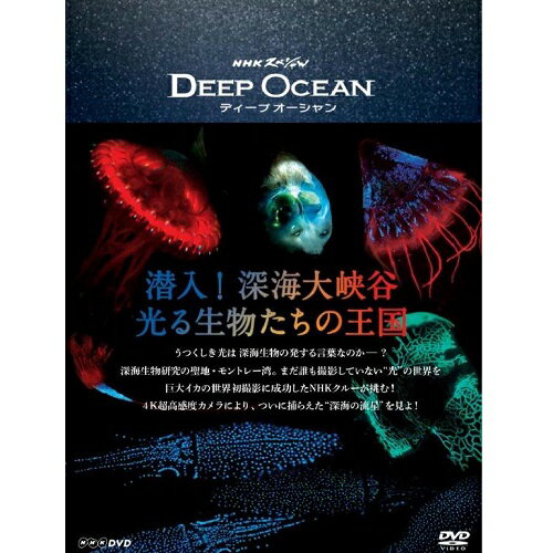 DVD NHKスペシャル ディープ オーシャン 潜入！深海大峡谷 光る生物たちの王国