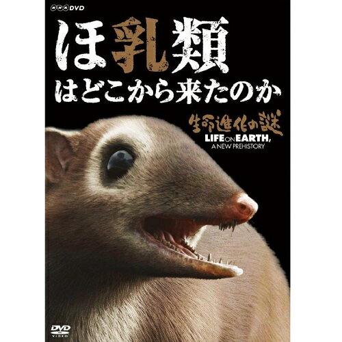 全品ポイント10倍！11日1：59まで生命進化の謎 ほ乳類はどこから来たのか