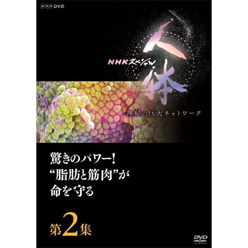 DVD NHKスペシャル 人体　神秘の巨大ネットワーク　第2集　驚きのパワー！“脂肪と筋肉”が命を守る