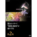 【ポイント10倍 4/10 1：59まで】DVD NHKスペシャル 人体　神秘の巨大ネットワーク　第2集　驚きのパワー！“脂肪と筋肉”が命を守る