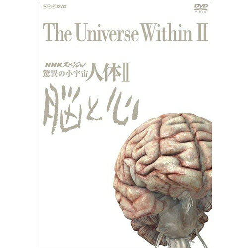 NHKスペシャル 驚異の小宇宙 人体II 脳と心 DVD-BOX 全6枚（新価格）