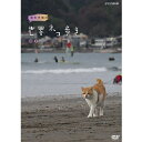 動物写真家・岩合光昭さんが世界中のネコを撮影して歩く人気シリーズ。今回、訪れたのは、お気に入りのニャンがいるという「鎌倉」。さて、どんなニャンに会えるでしょうか…？【収録内容】岩合さんお気に入りのネコが鎌倉の材木座海岸にいる。出会いは2年前、ふっくらとした体に黄色の毛並み、たちまち大好きになったという。浜の人気者で地元ばかりでなく、遠くからも会いに来る人がいるほど。日本列島を台風が襲った後、心配になった岩合さん、海岸に行ってみた。鎌倉では明月院や満福寺でも撮影し、ネコが大切にされているのを見てうれしくなる。更に、小町通りのジャズ喫茶や葉山の美容室でもネコたちに出会いました。【出演】岩合光昭【語り】相武紗季【特典映像】・岩合さん撮影　未公開ネコ歩き（20分）【封入特典】・リーフレット（8ページ）／ポストカード○2019年12月6日 BSプレミアムで放送*DVD*収録時間：本編59分＋特典映像20分／16：9／ステレオ・ドルビーデジタル／片面一層／カラー&copy;2020 NHK／ジーズ・コーポレーション