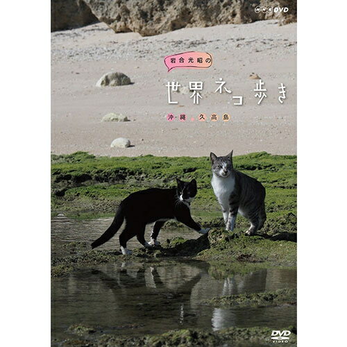 岩合光昭の世界ネコ歩き 沖縄 久高島 DVD