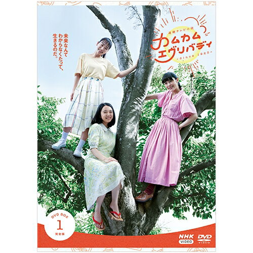 連続テレビ小説 カムカムエヴリバディ 完全版 DVD-BOX1 全4枚