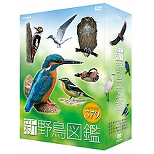 新 野鳥図鑑 DVD-BOX 全4枚セット