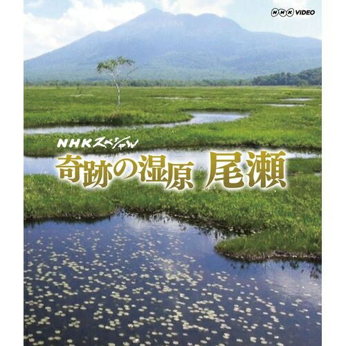 NHKスペシャル 奇跡の湿原 尾瀬　冬から初夏にかけて、最新の研究調査を交え雪が育んだ奇跡の湿原の物語へと誘います。ブルーレイディスク（Blu-ray Disc）