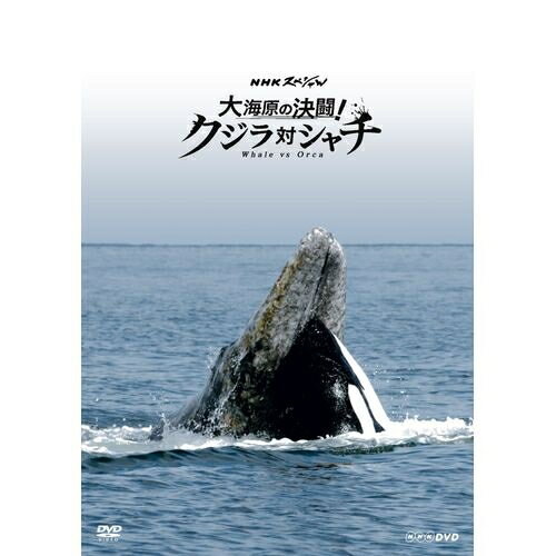 楽天NHKスクエア キャラクター館NHKスペシャル 大海原の決闘！ クジラ対シャチ　地球最大級の生きものクジラとシャチには知られざる闘いがあった。　世界初“地球最大の攻防戦”を陸・海・空からの迫力映像でその全貌に迫る…。　Blu-ray