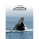 【ポイント10倍 4/10 1：59まで】NHKスペシャル 大海原の決闘！ クジラ対シャチ　地球最大級の生きものクジラとシャチには知られざる闘いがあった。　世界初“地球最大の攻防戦”を陸・海・空からの迫力映像でその全貌に迫る…。　Blu-ray