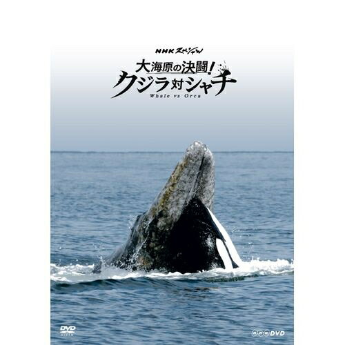 NHKスペシャル 大海原の決闘！ クジラ対シャチ　地球最大級の生きものクジラとシャチには知られざる闘いがあった。　世界初“地球最大の攻防戦”を陸・海・空からの迫力映像でその全貌に迫る…　DVD