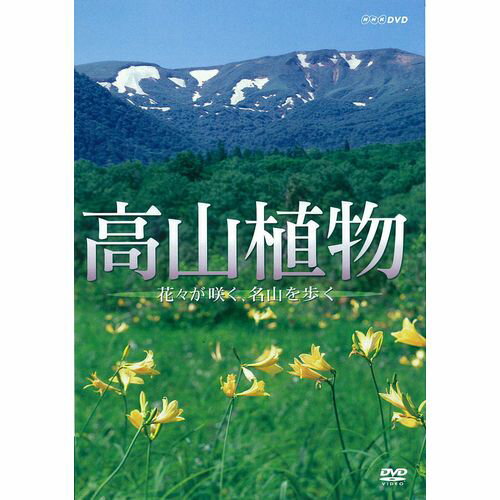 高山植物 ～花々が咲く名山を歩く～