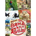 エントリー＆複数購入でP最大10倍UP 10日1:59まで日本列島生きもの超伝説 劇場版 ダーウィンが来た！ DVD