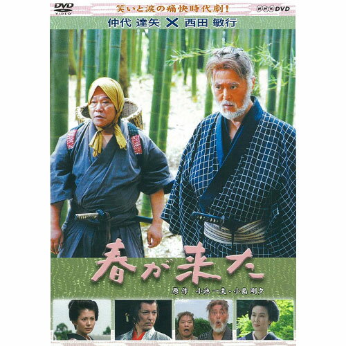 500円クーポン発行中！春が来た 全2枚セット